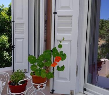 Andros Town Apartment | Andros Lighthouse Apartments