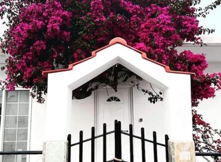Livadia Villa | Annika's Summer Dream
