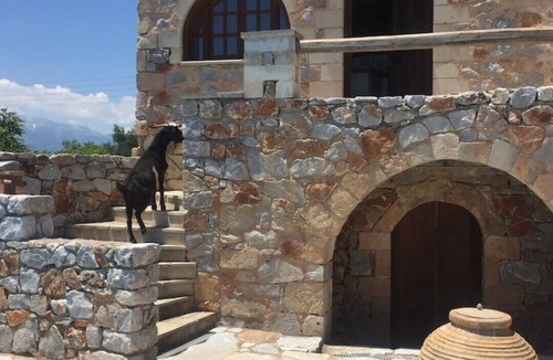 Kefalas Apartment | Apartment "Pali" in a traditional crete stone building