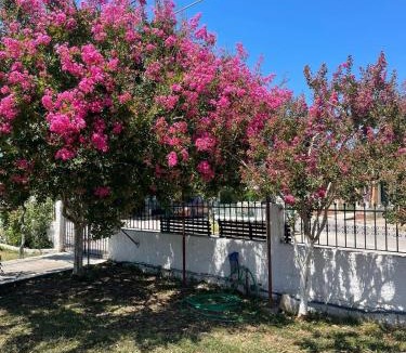 Peroulades House | Aspasias Traditional Studio