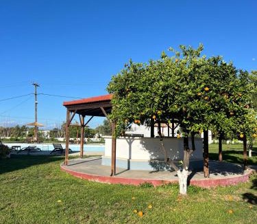 Theologos Hotel | Ayit Hotel