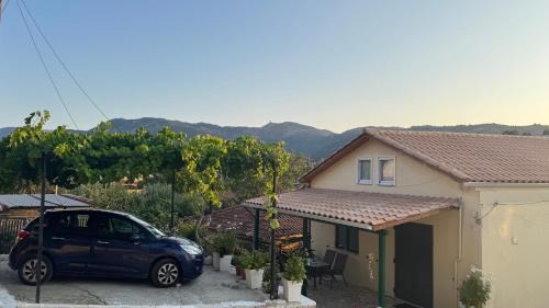 Lazarata House | Basil & Sunrise