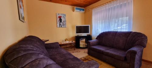 Golem Villa | bezhani Standard Villa