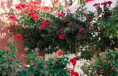Kouramades House | Charming manor house in Kouramades Village