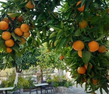 Mystras House | Christina Guest House