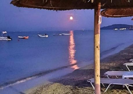 Moraitika Apartment | Corfu Olivia Apartments