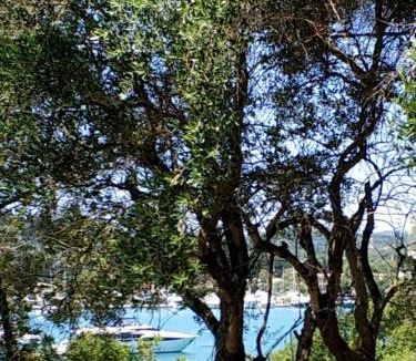 Kontokali Apartment | Coritos apartments Corfu