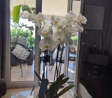 Argostoli Town Apartment | Diamond City Lux Apartment