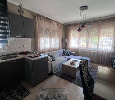 Karditsa Apartment | Dimitris Apartment