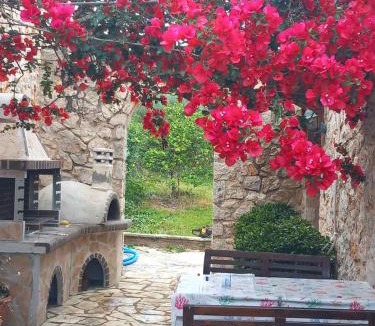 Evgiros Villa | Dioni Villa