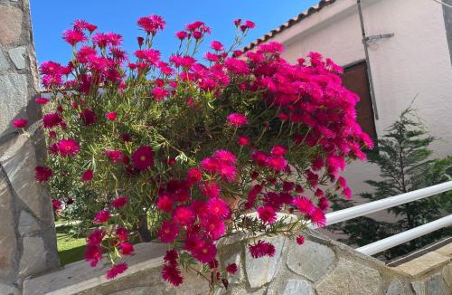 Toroni Apartment | Elegant Villa Stelios