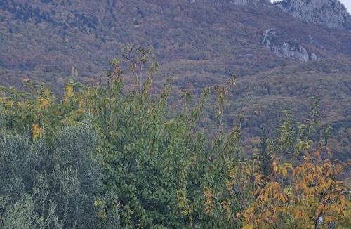 Mavromati House | ESTELA House