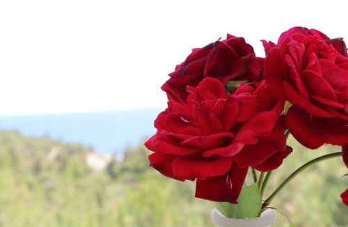 Thasos Apartment | FANTASY GRAND VILLA THASSOS