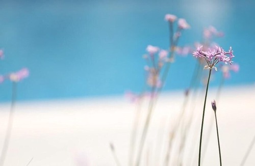 Kallithea House | Ferienhaus Rodos für 1 - 5 Personen mit 2 Schlafzimmern in Rodos