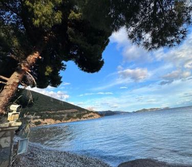 Marathias Villa | Fokiotrypa Seaside Retreat