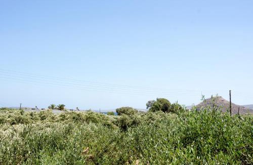 Palekastro House | Giorgos villa