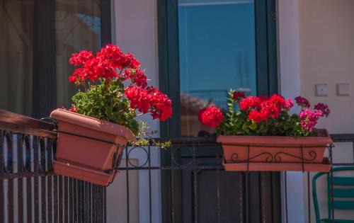 Mytilene Apartment | Heliotrope The Studios