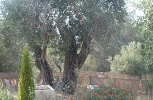 Liapades House | Holiday house Liapades for 1 - 6 persons with 3 bedrooms - Holiday house