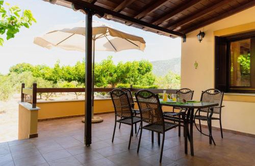 Artemida House | Karavos Grove