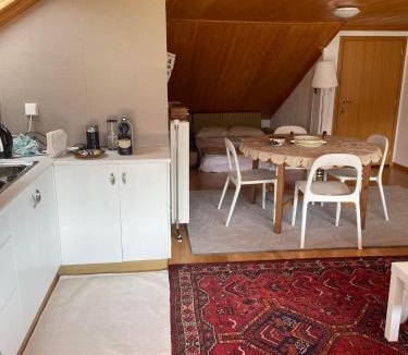 Metsovo Apartment | Kostis Central Loft