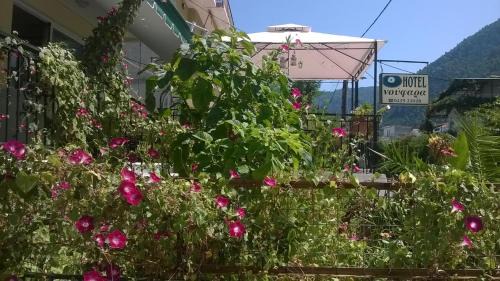 Kamena Vourla Hotel | Noufara Hotel
