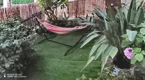 Ano Korakiana Apartment | Olgas Cozy Nest Corfu retreat garden near Dassia