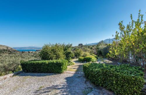 Exopoli Villa | Olive Garden Vila