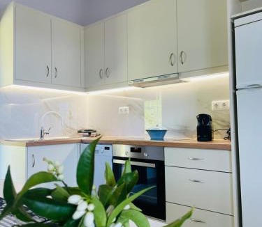 Nikopolis Apartment | Olive Land Spacious Apartment