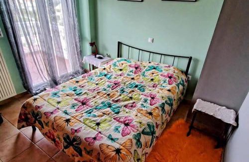Zalongo Apartment | Olive Tree Villa