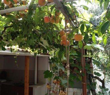 Skala Kallirachis House | Our parent's house. Family house for rent