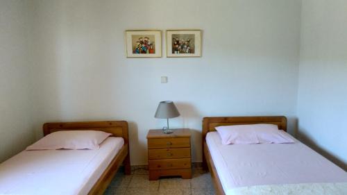 Thasos House | Palm Villa