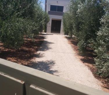 Midea House | Panaritis