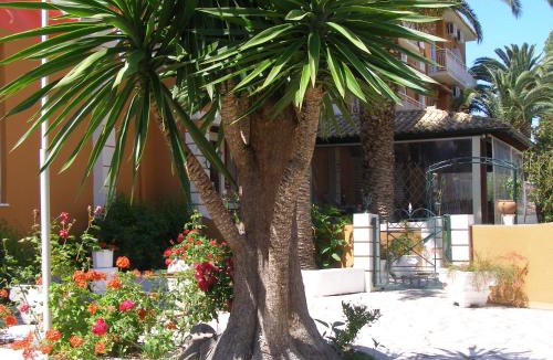 Messonghi Hotel | PANTHEON HALL HOTEL