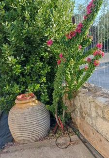 Vlachiotis House | Politimis house