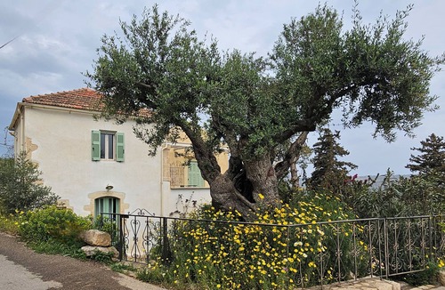 Provarma House | Pretty traditional house with a large swimming pool for 2/4
