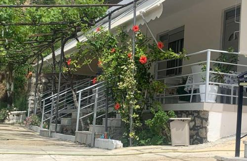 Qeparo Apartment | Qeparo View Rooms