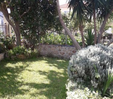Skala Kallirachis House | Roses