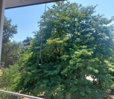 Ioannina Town Centre Apartment | Santa Marina 7