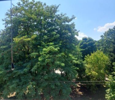 Ioannina Town Centre Apartment | Santa Marina 7