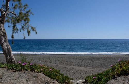 Myrtos Apartment | Soso's Apartments -Vacations Next to the Beach