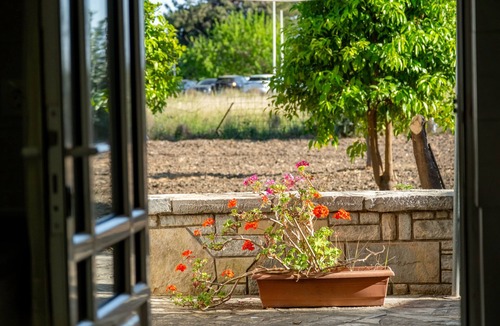 Potokaki Apartment | Stefanos Home Cozy Apartment Near Airport Lush Garden Free Parking