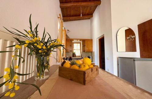 Kounelion Villa | Stone Heaven Apartment-Poolside BBQ & Fresh Herbs