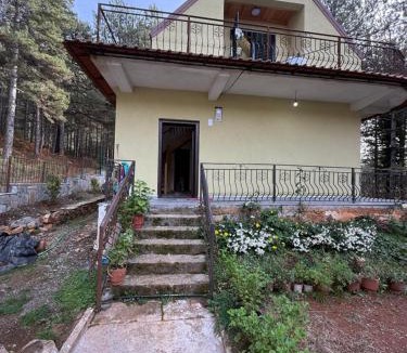 Elbasan Villa | Streha Pishave