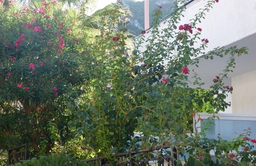 Benitses Apartment | Studio "Galini Studios 6" Near the Beach with Wi-Fi, A/C & Balcony