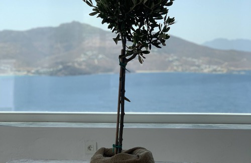 Mykonos Villa | Stunning newly renovated Five * Family Villa with ultimate view and privacy