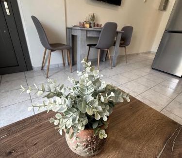 Igoumenitsa Apartment | The Castle