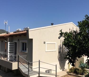 Ziria House | The Olive Orchard