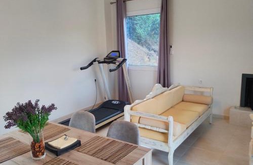 Vizari House | THROUBI VILLA