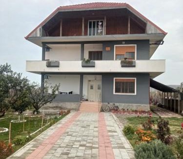 Ardenice Apartment | Villa Gjeka