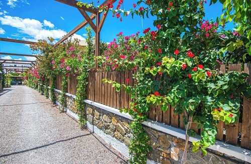 Kiotari Villa | Villa Kiotari Meliti